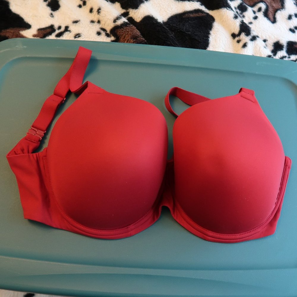 Bare Necessities favorite t shirt bra 34I